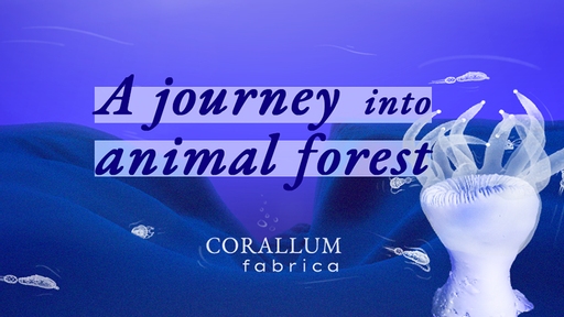 App cover art