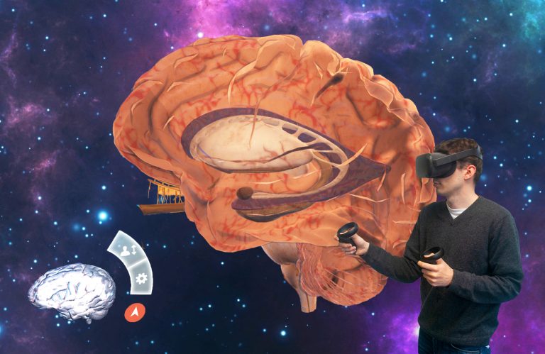 vr tour of the brain