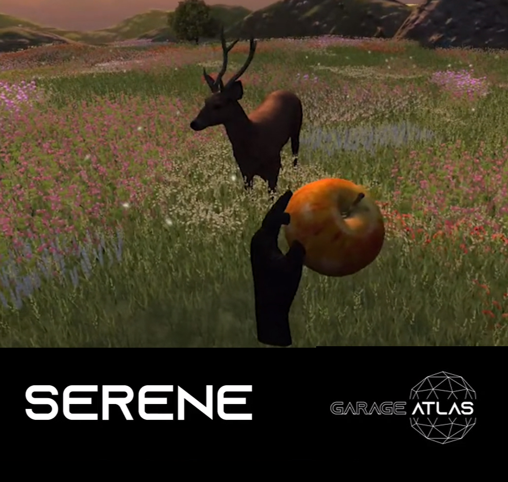 SERENE HandTracking Game on SideQuest Oculus Quest Games & Apps ...