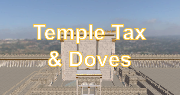 Temple Tax and Doves on SideQuest Oculus Quest Games & Apps including ...