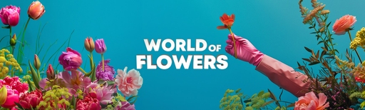 App cover art
