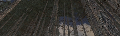 App cover art