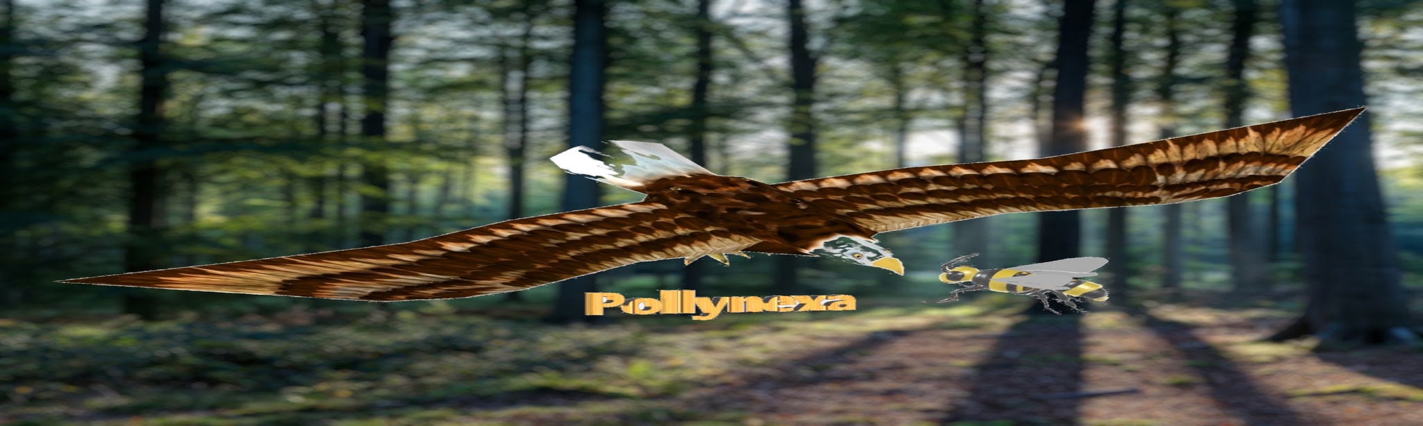 App cover art