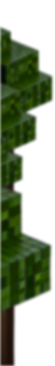 Themed Border