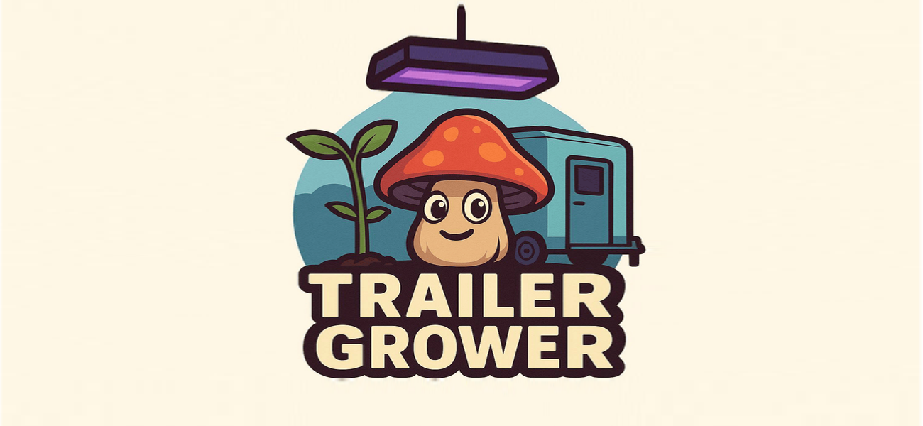App Cover Art