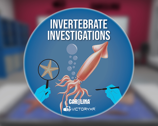 App cover art