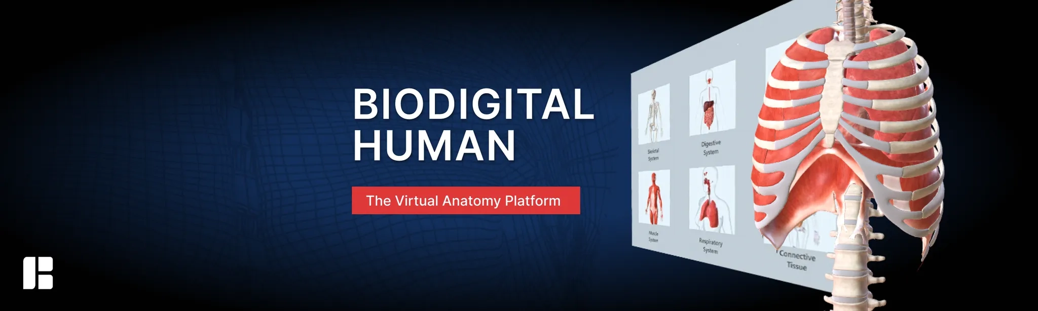 BioDigital Human on SideQuest Oculus Quest Games & Apps including ...