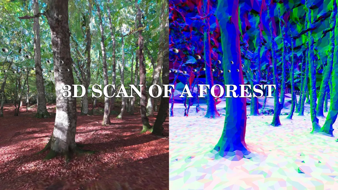 3D scan of a forest on SideQuest Oculus Quest Games & Apps including ...