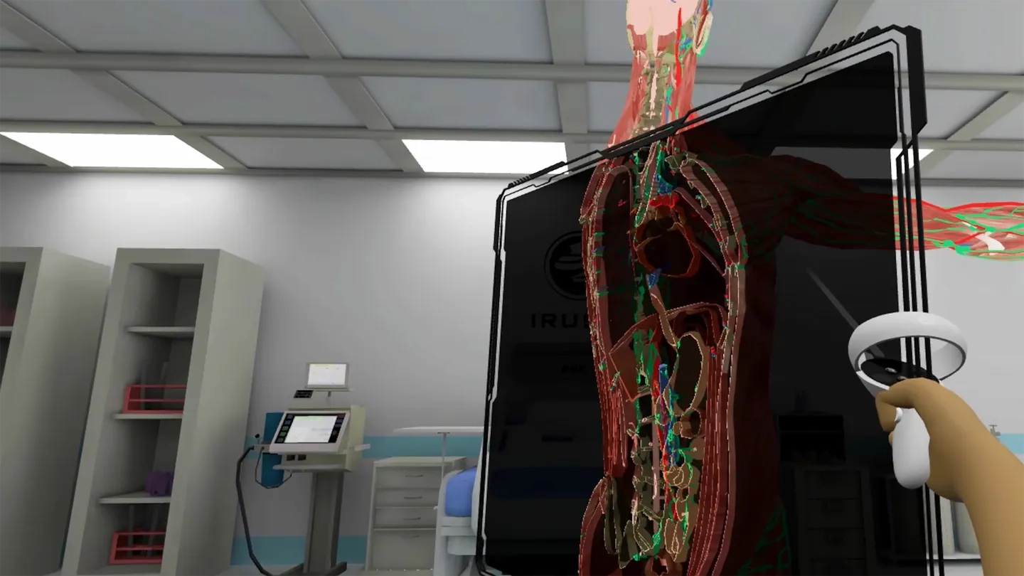 Human Anatomy VR Learning on SideQuest Oculus Quest Games & Apps ...