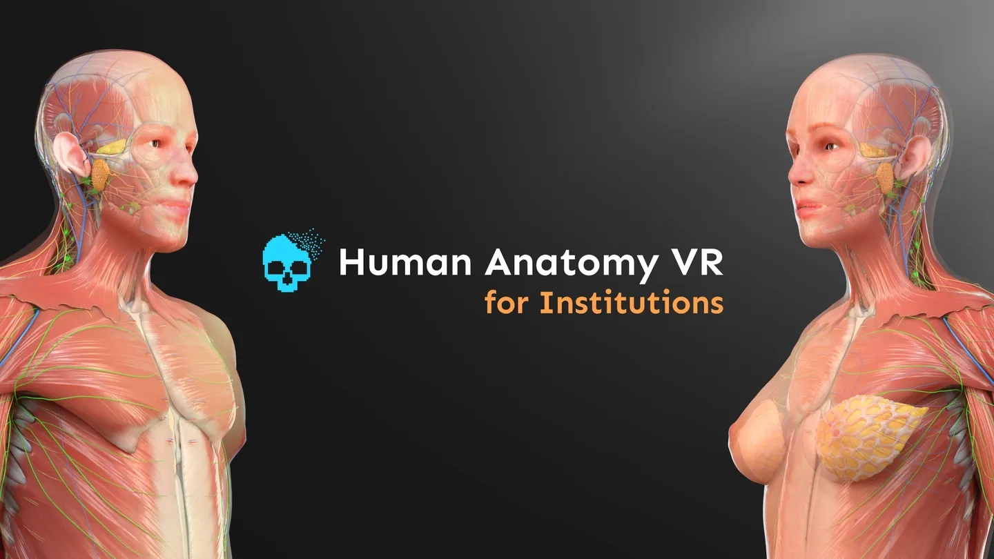 Human Anatomy VR for Institutions on SideQuest Oculus Quest Games ...