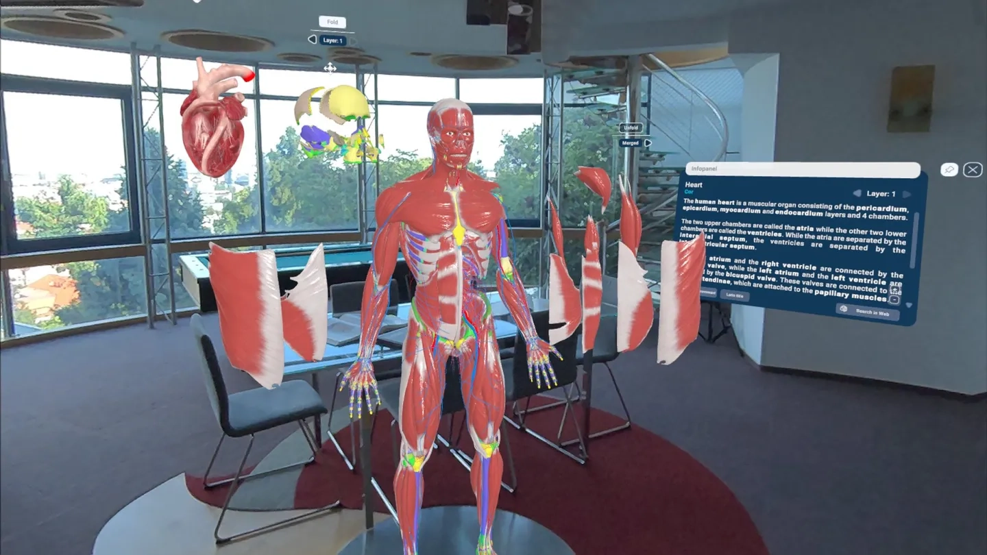 Human Anatomy VR for Institutions on SideQuest Oculus Quest Games &amp; Apps including AppLab Games ...