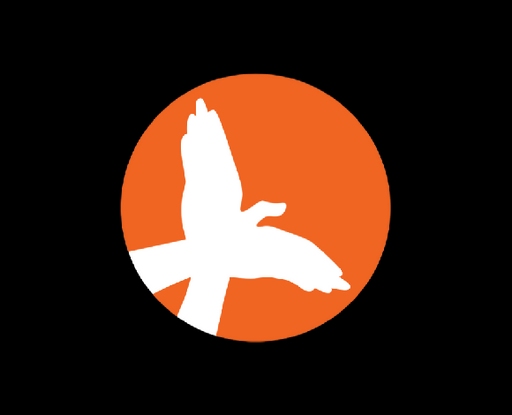 App cover art