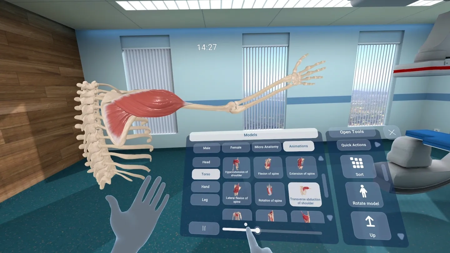 Human Anatomy VR on SideQuest Oculus Quest Games &amp; Apps including AppLab Games ( Oculus App Lab )
