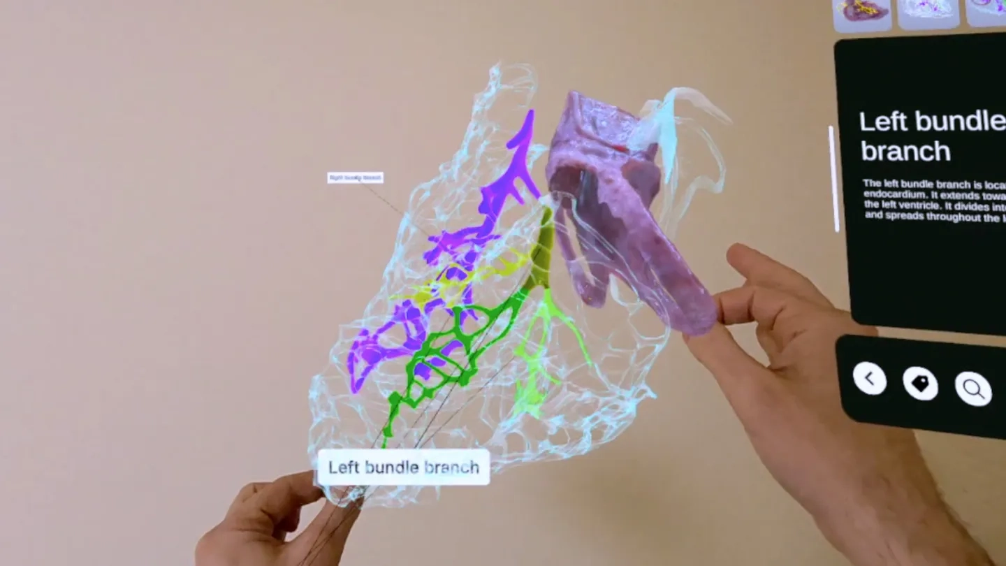 XR Heart Anatomy on SideQuest Oculus Quest Games & Apps including ...