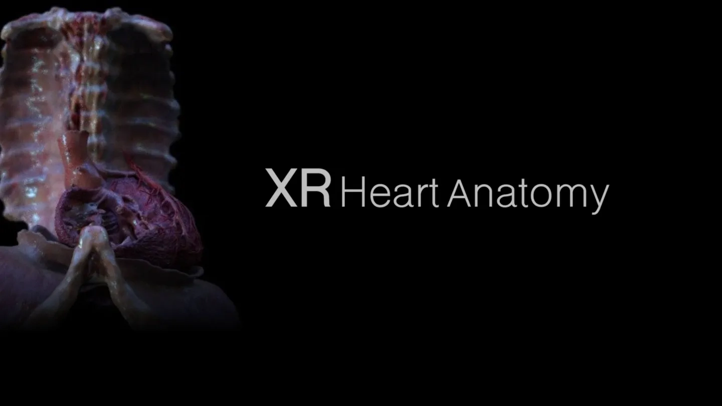 XR Heart Anatomy on SideQuest Oculus Quest Games & Apps including ...