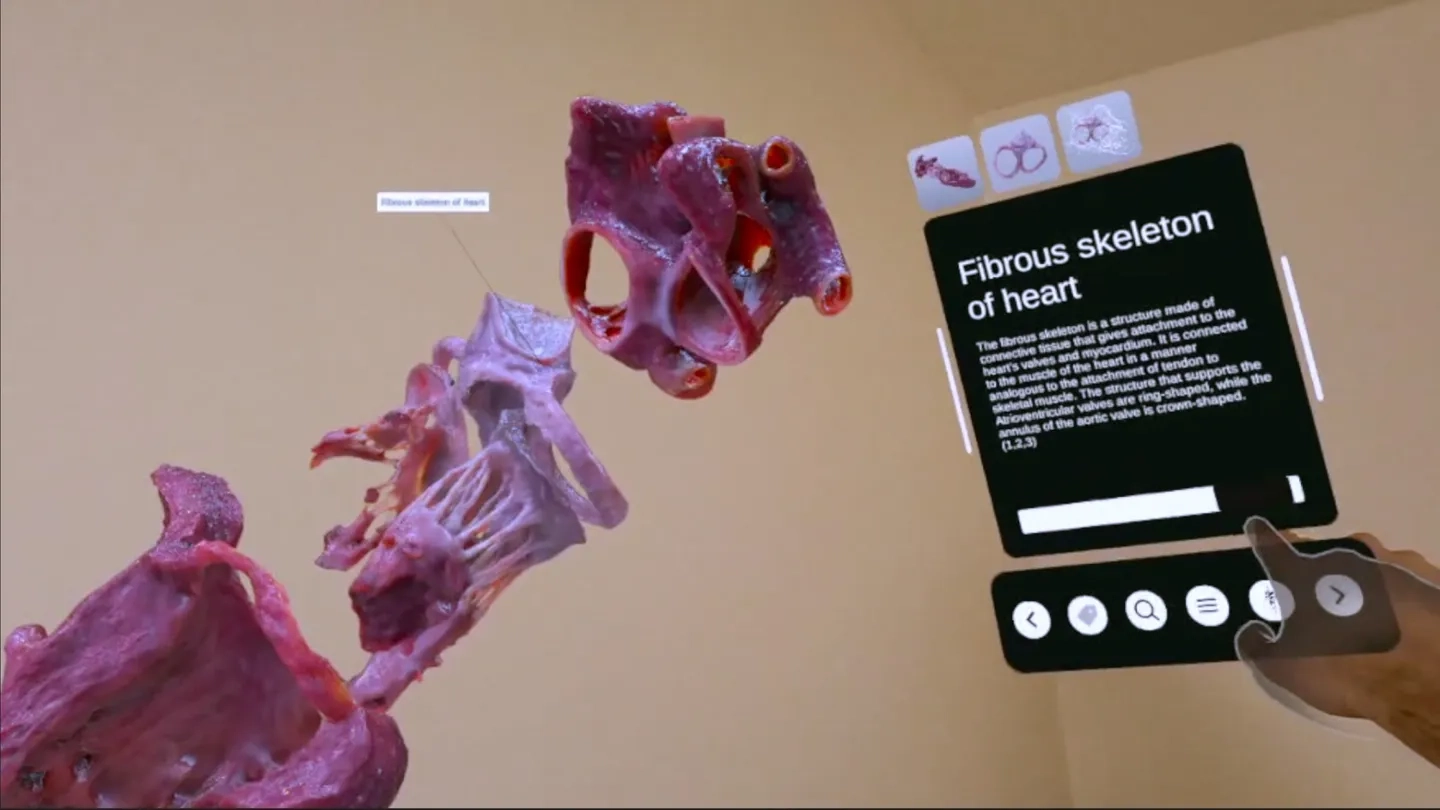 XR Heart Anatomy on SideQuest Oculus Quest Games & Apps including ...
