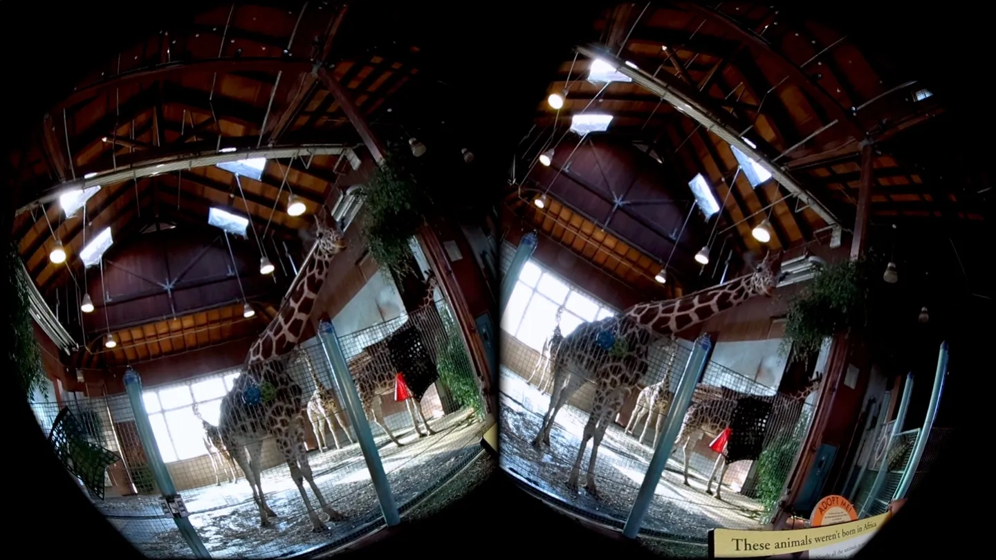 VR Zoo on SideQuest Oculus Quest Games & Apps including AppLab Games ...