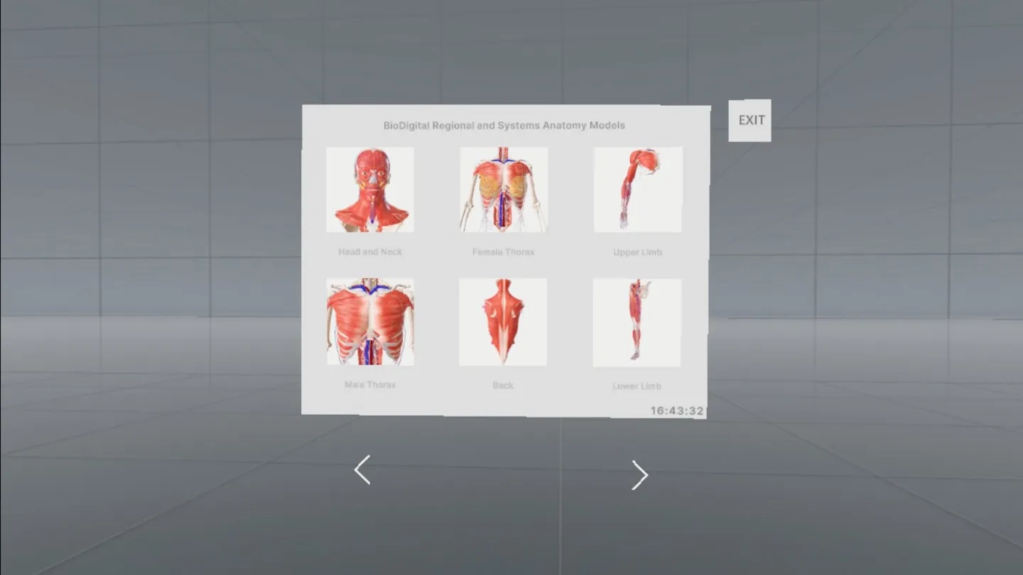 BioDigital Human on SideQuest Oculus Quest Games & Apps including ...