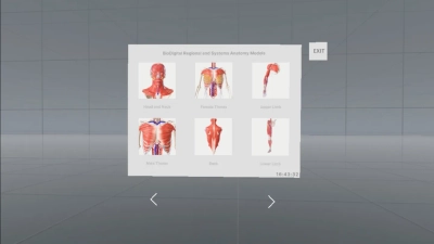 Humans App Screen Shot BioDigital Human on SideQuest Oculus Quest Games & Apps including ...