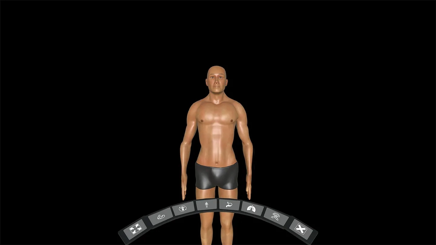 Human Anatomy VR on SideQuest Oculus Quest Games & Apps including ...