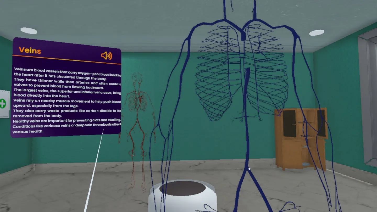 Human Anatomy VR on SideQuest Oculus Quest Games & Apps including ...