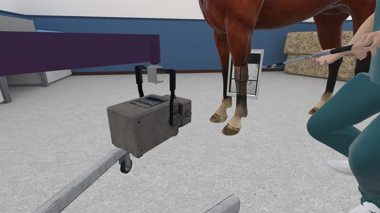 VetSkill Equine OSCE Practise Stations on SideQuest Oculus Quest Games ...