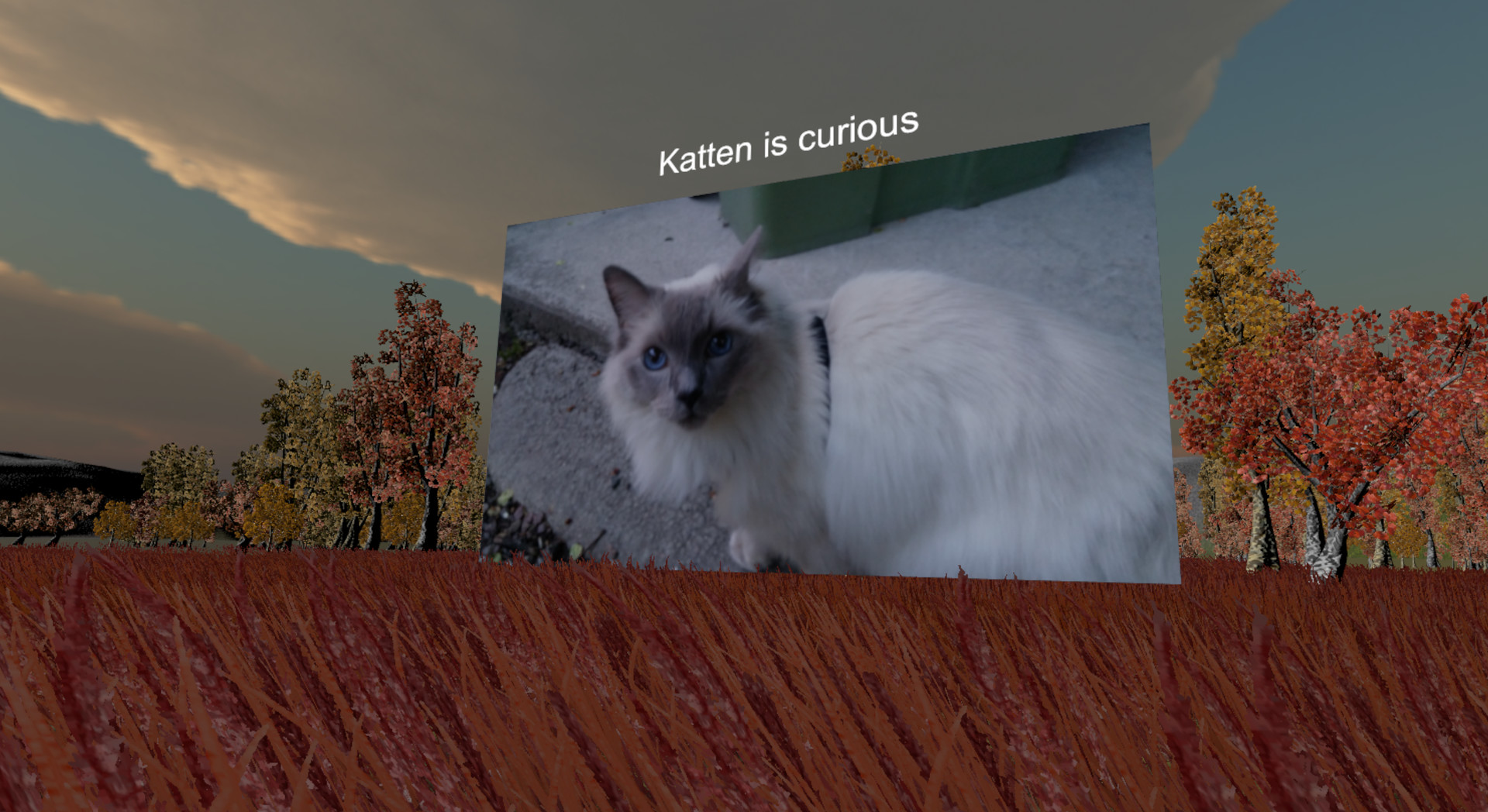 VR Gallery on SideQuest Oculus Quest Games & Apps including AppLab ...