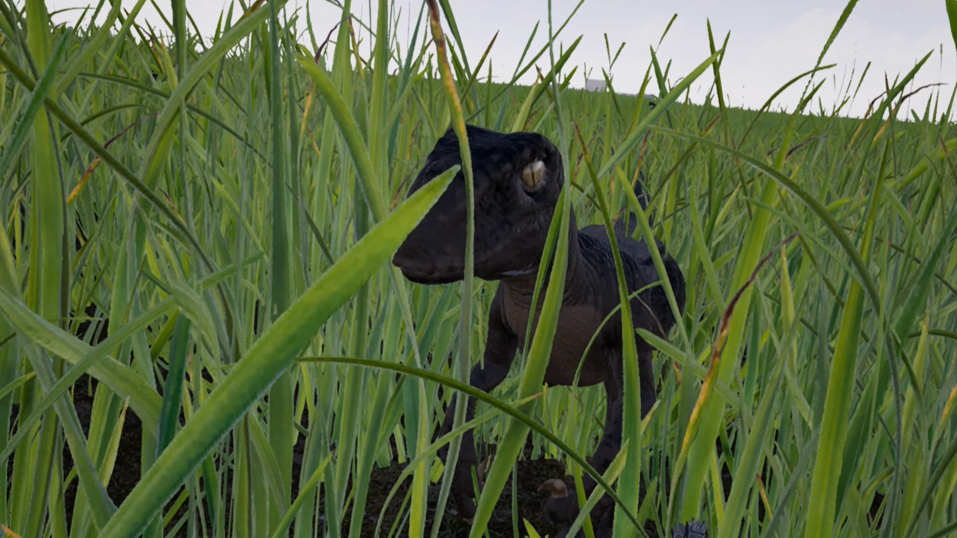 Raptor: Cretaceous Island on SideQuest Oculus Quest Games & Apps ...