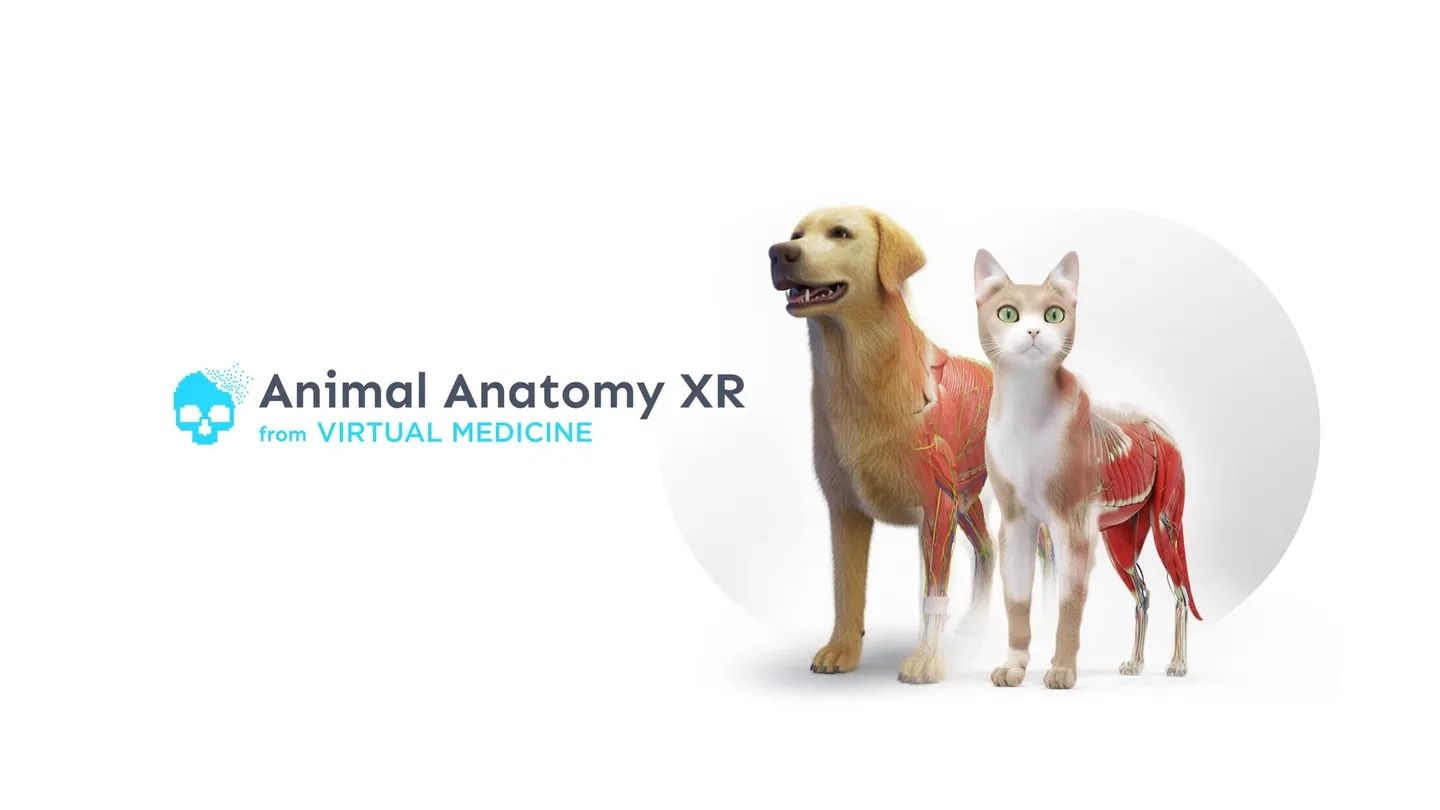 Animal Anatomy XR on SideQuest Oculus Quest Games & Apps including ...