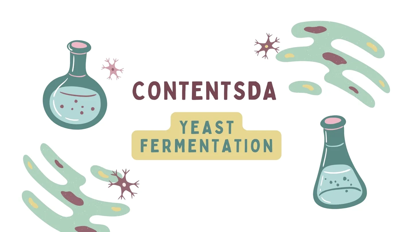 Yeast Fermentation Experiment ContentsDa Science Experiment on ...