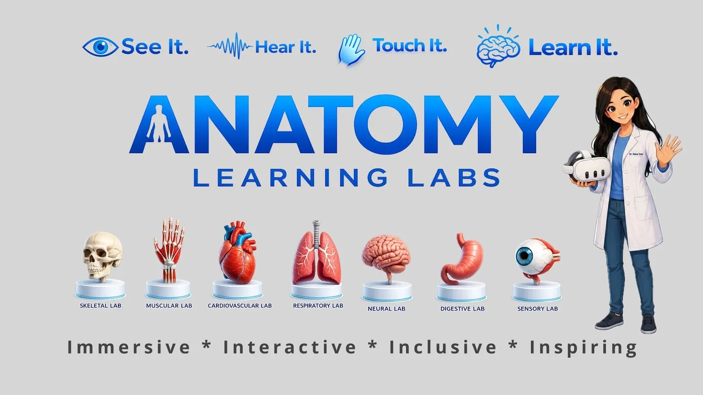 Anatomy Learning Labs: Skeletal Lab on SideQuest Oculus Quest Games ...