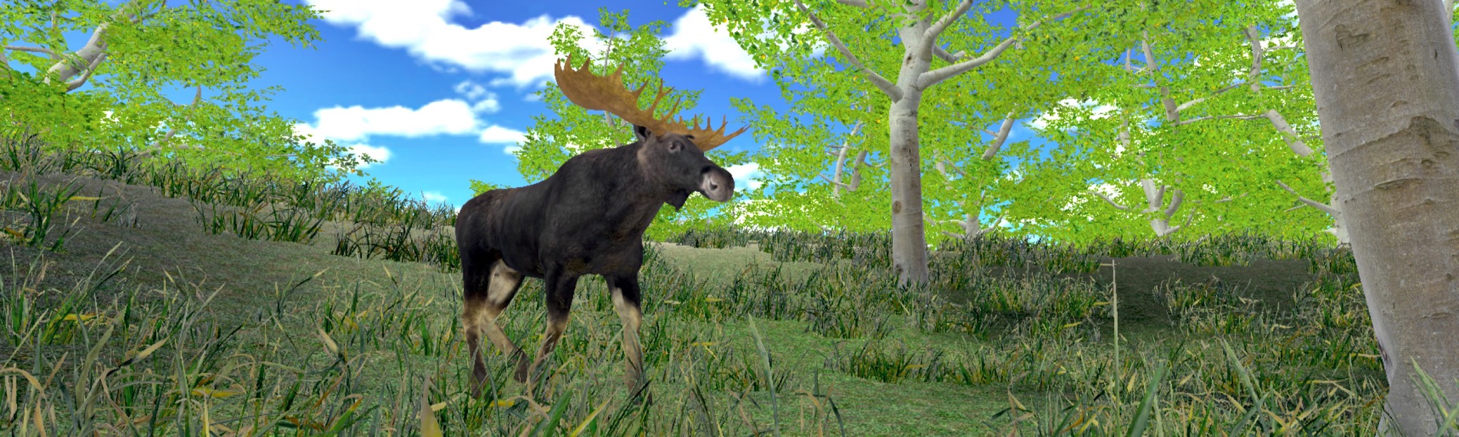 Hunting Simulator on SideQuest Oculus Quest Games & Apps including