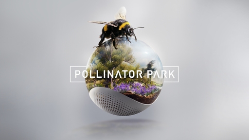 App cover art